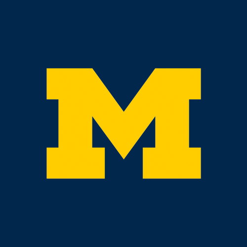Michigan marketing and design project